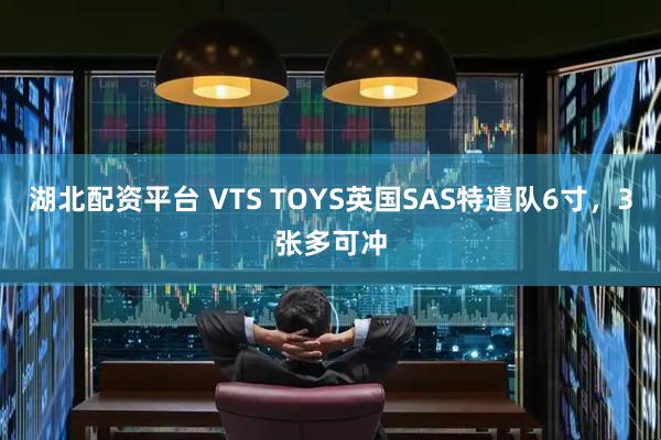 湖北配资平台 VTS TOYS英国SAS特遣队6寸，3张多可冲