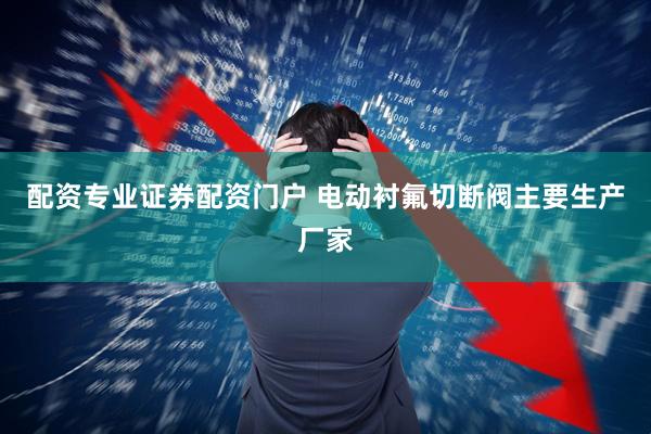 配资专业证券配资门户 电动衬氟切断阀主要生产厂家