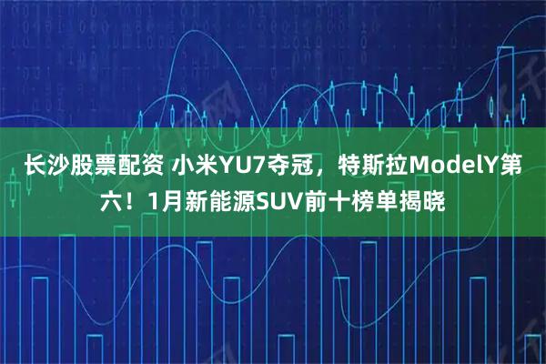 长沙股票配资 小米YU7夺冠，特斯拉ModelY第六！1月新能源SUV前十榜单揭晓