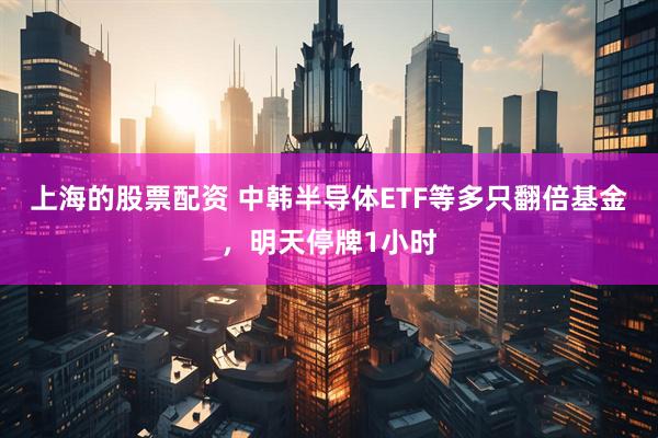 上海的股票配资 中韩半导体ETF等多只翻倍基金，明天停牌1小时
